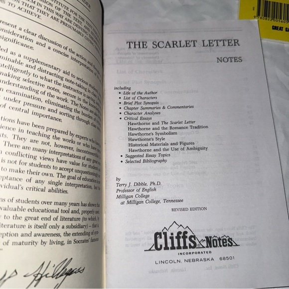 Cliffs Notes Book Lot 3 The Great Gatsby, Scarlet Letter, Our Town Study Guide - Picture 4 of 6